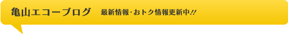 亀山エコーブログ